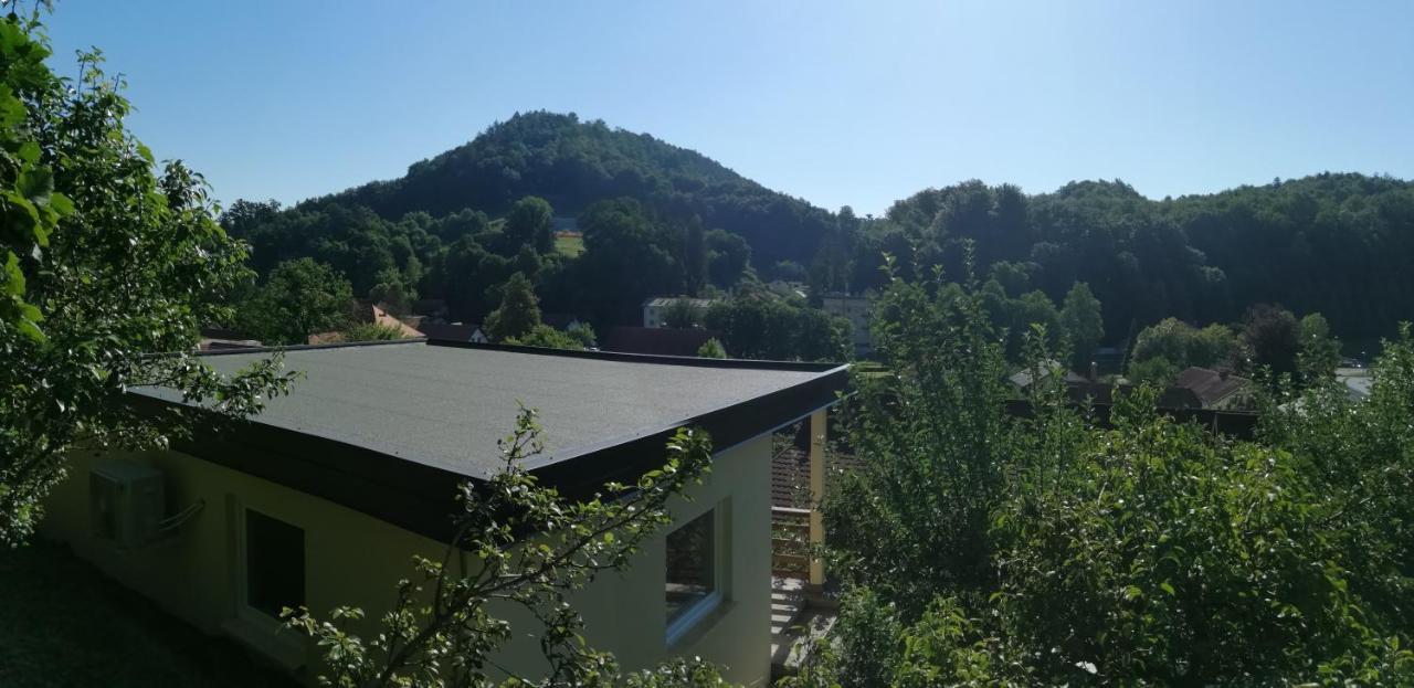 Apartments Ina Rogaška Slatina Rom bilde